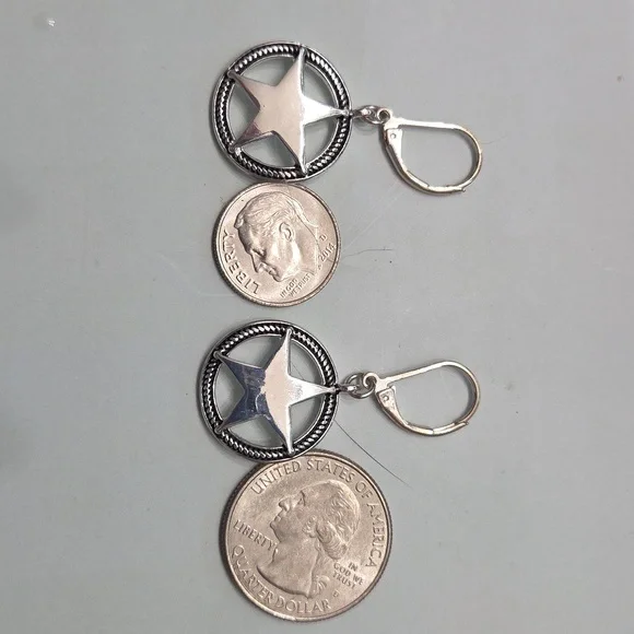 Stainless steel star French‎ hook earrings - Picture 3 of 3